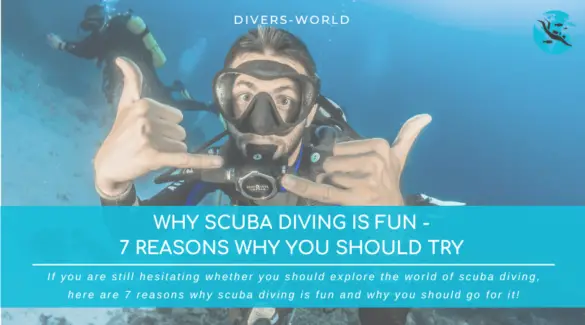Why Scuba Diving Is Fun 7 Reasons Why You Should Try 3644