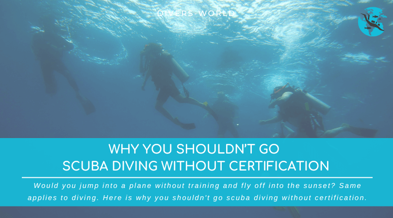 Why You Shouldn’t Go Scuba Diving Without Certification