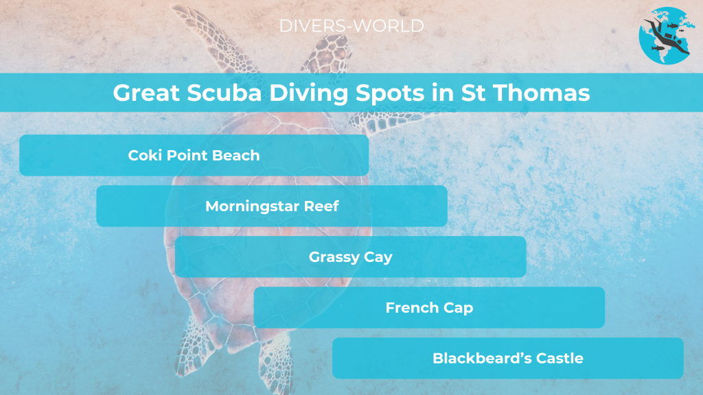 Great Scuba Diving Spots in St Thomas