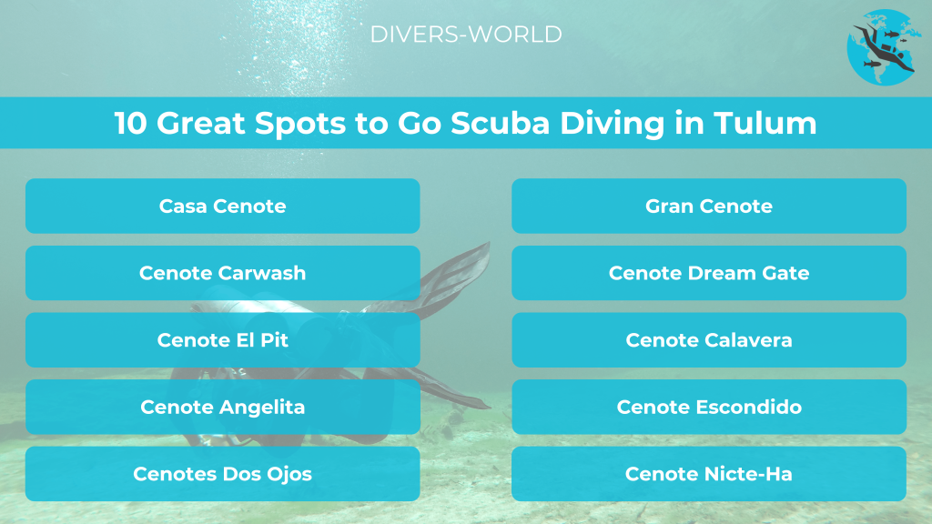 10 Great Spots to Go Scuba Diving in Tulum