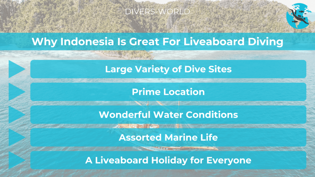 Why Indonesia Is Great For Liveaboard Diving