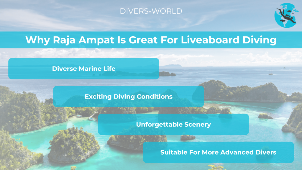 Why Raja Ampat is Great for Liveaboard Diving