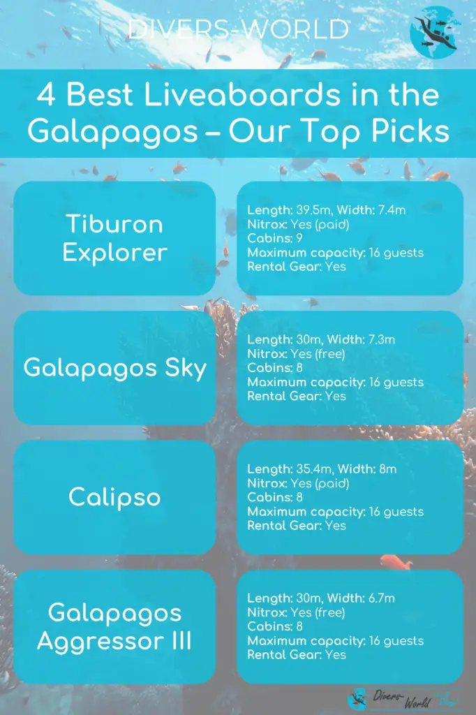 4 Best Liveaboards in the Galapagos – Our Top Picks