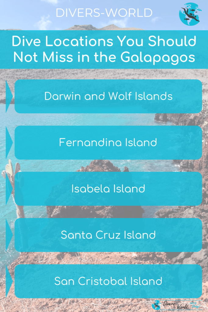 Dive Locations You Should Not Miss in the Galapagos