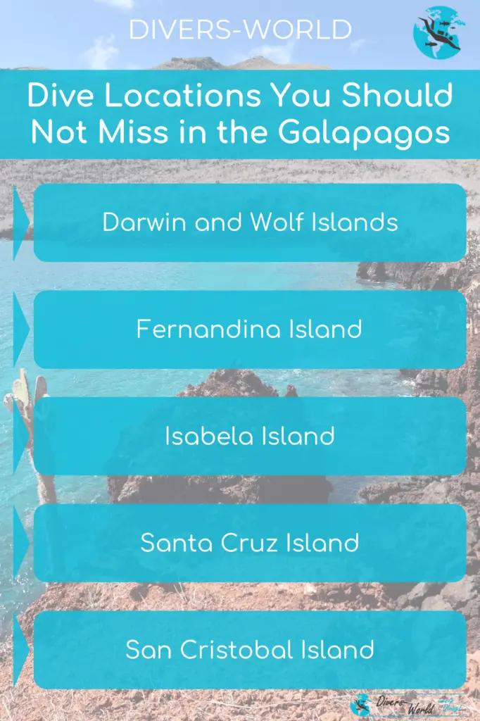 Dive Locations You Should Not Miss in the Galapagos