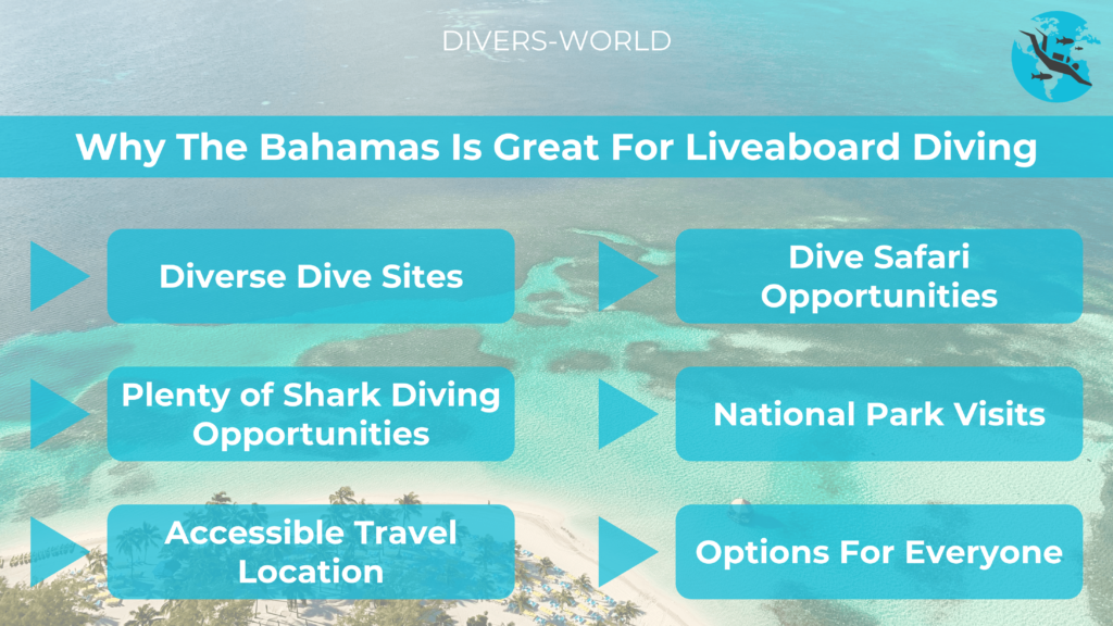Why The Bahamas Is Great For Liveaboard Diving
