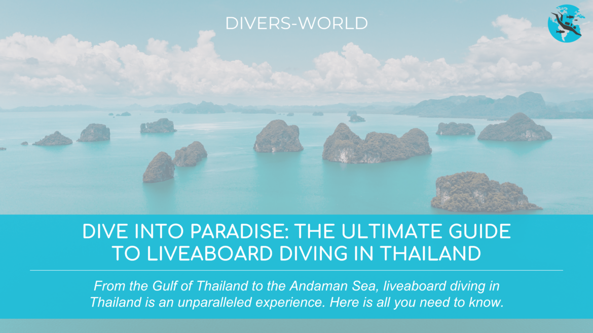 Dive into Paradise - Ultimate Guide to Liveaboard Diving in Thailand