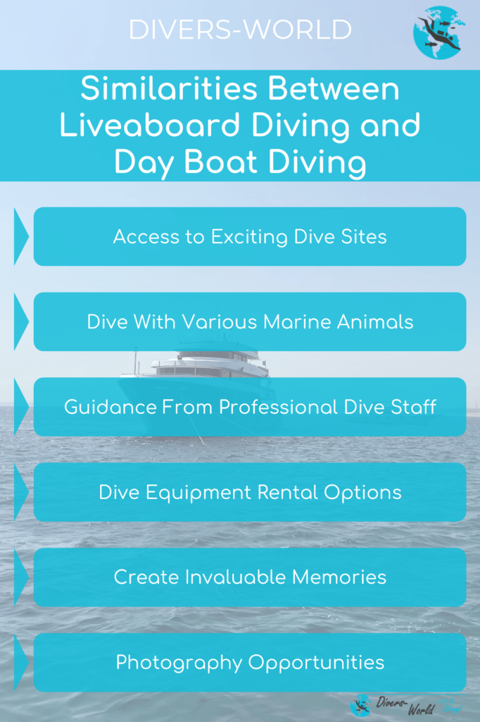 Similarities Between Liveaboard Diving and Day Boat Diving