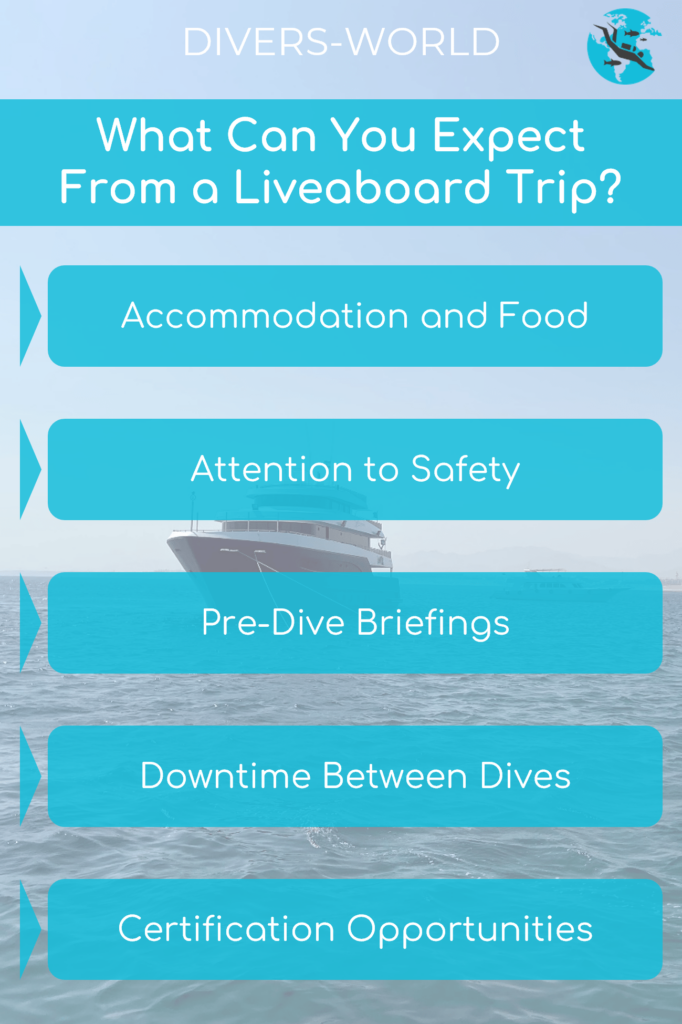 What Can You Expect From a Liveaboard Trip?