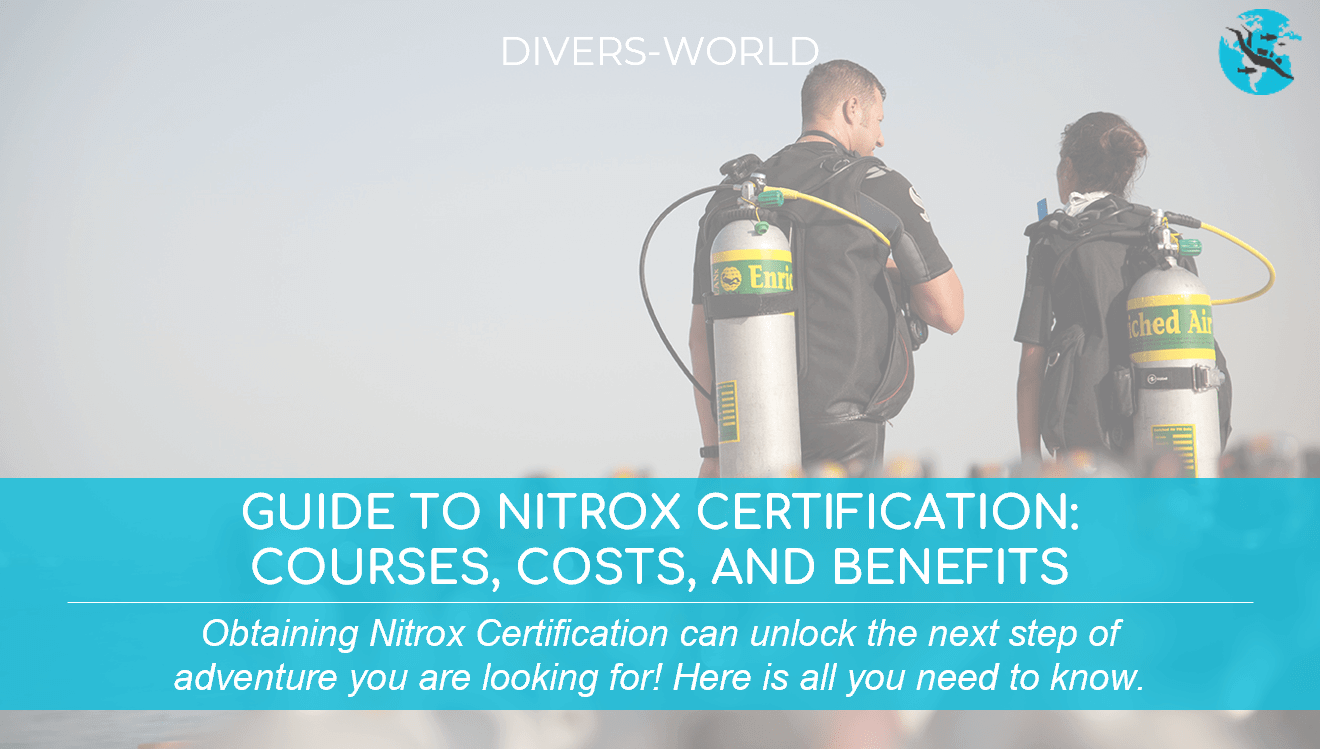 Guide to Nitrox Certification: Courses Costs and Benefits