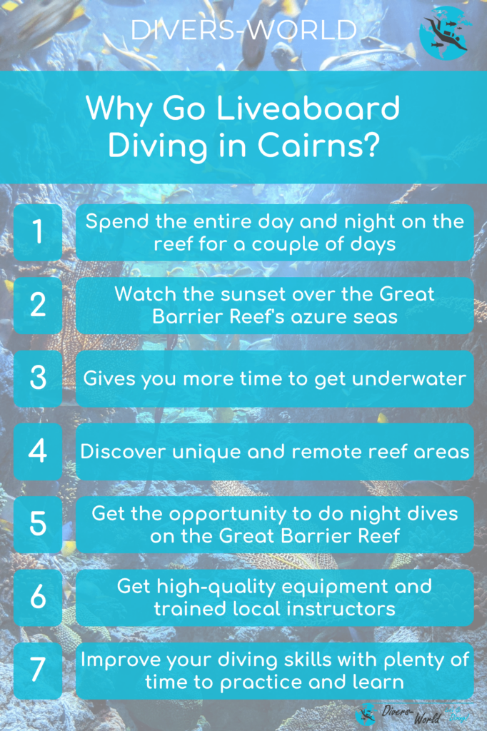 Why Go Liveaboard Diving in Cairns?